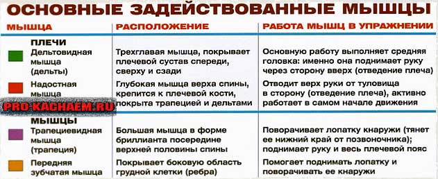 Разведение гантелей стоя