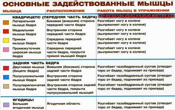 Приседания со штангой