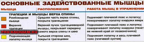 Шраги со штангой