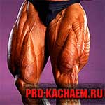 Накачанные ноги