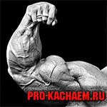 Накачанный бицепс