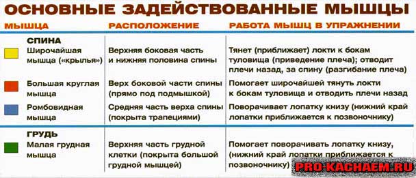 Вертикальная тяга обратным хватом