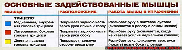 жим к низу в блочном тренажере