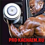 Накачанный бицепс