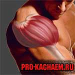 Накачанная дельта
