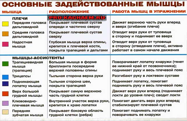 Жим штанги стоя (армейский жим)