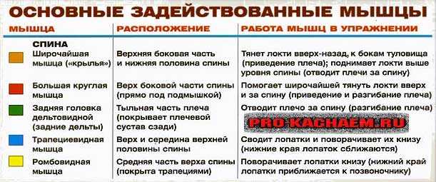 Тяга штанги в наклоне