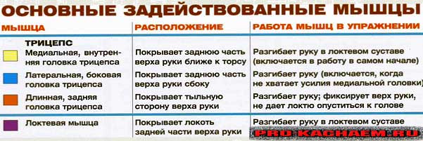 Французский жим лежа