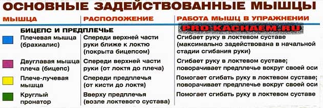 Упражнения молот