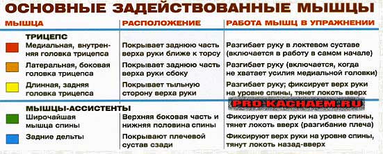Разгибание руки в наклоне