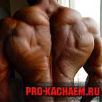 Накачанная спина