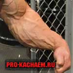 Накачанное предплечье