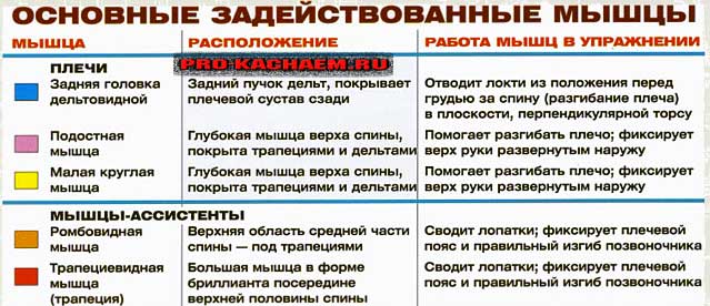 Разведение гантелей в наклоне