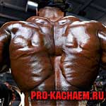 Накачанная спина