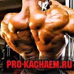 Тяга гантели одной рукой в наклоне