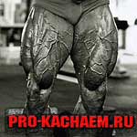 Накачанные ноги
