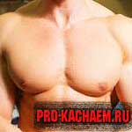 Накачанная грудь