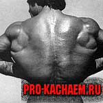Накачанные широчайшие