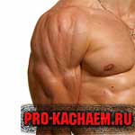 Жим штанги стоя (армейский жим)