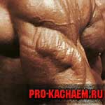 Французский жим