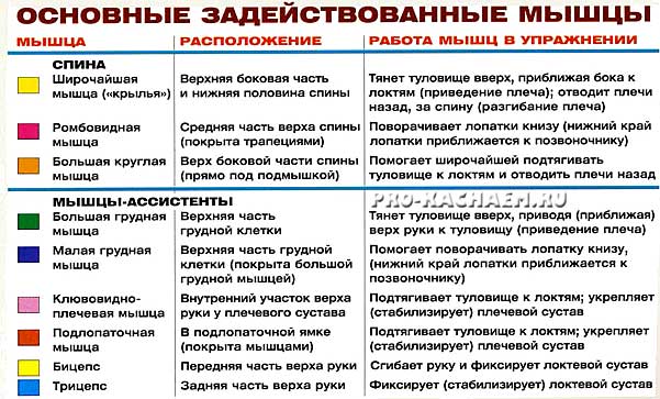 подтягивания широким хватом