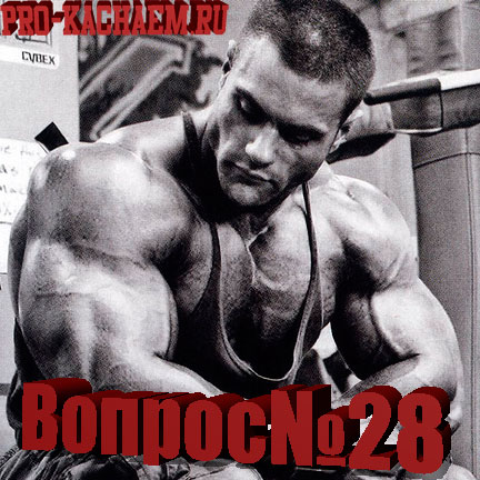 Можно ли тренироваться, если я немного выпил
