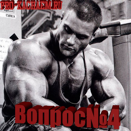 Какие упражнения выполнять новичку