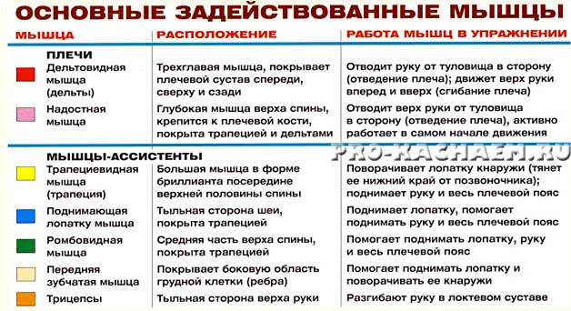 жим штанги сидя