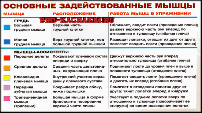 Разведение гантелей лежа на наклонной скамье