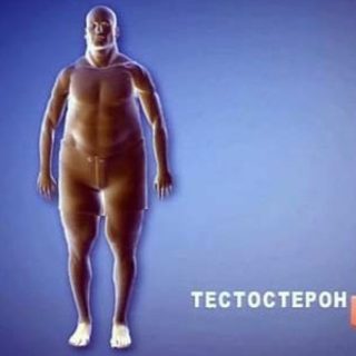 увеличение тестостерона